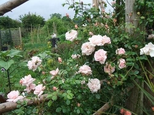 Cross Close House B&B Lostwithiel Bagian luar foto